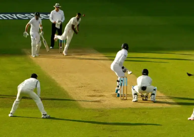 cricket